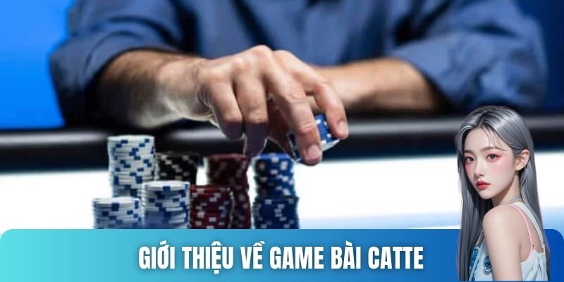 bài Catte
