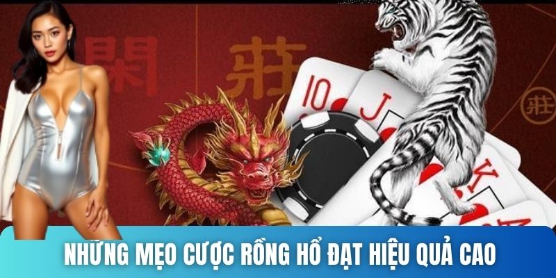 Những mẹo cược đạt hiệu quả cao