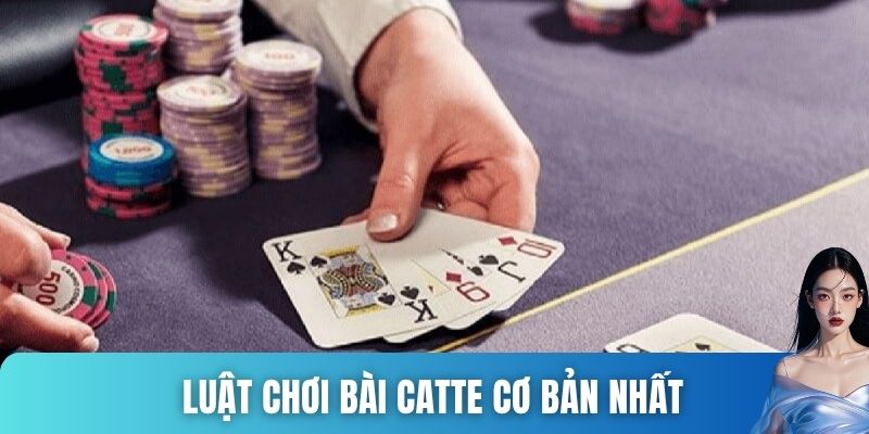 Luật chơi bài Catte cơ bản nhất 