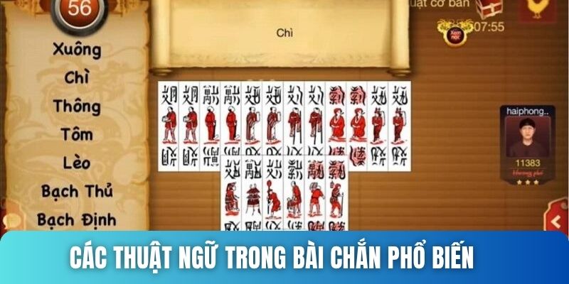 Các thuật ngữ trong bài chắn phổ biến nhất 